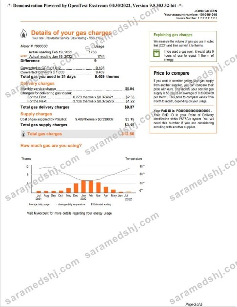 USA New York PSEG utility bill, Word and PDF template, 5 pages 3